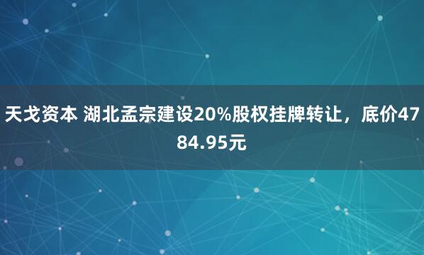 天戈资本 湖北孟宗建设20%股权挂牌转让，底价4784.95元