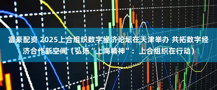 富豪配资 2025上合组织数字经济论坛在天津举办 共拓数字经济合作新空间（弘扬“上海精神”：上合组织在行动）