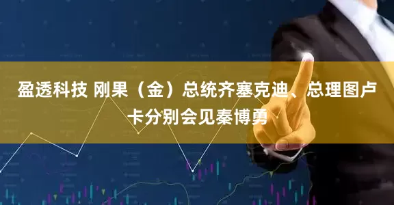 盈透科技 刚果（金）总统齐塞克迪、总理图卢卡分别会见秦博勇