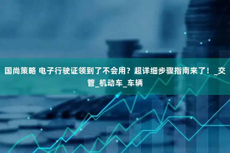 国尚策略 电子行驶证领到了不会用？超详细步骤指南来了！_交管_机动车_车辆