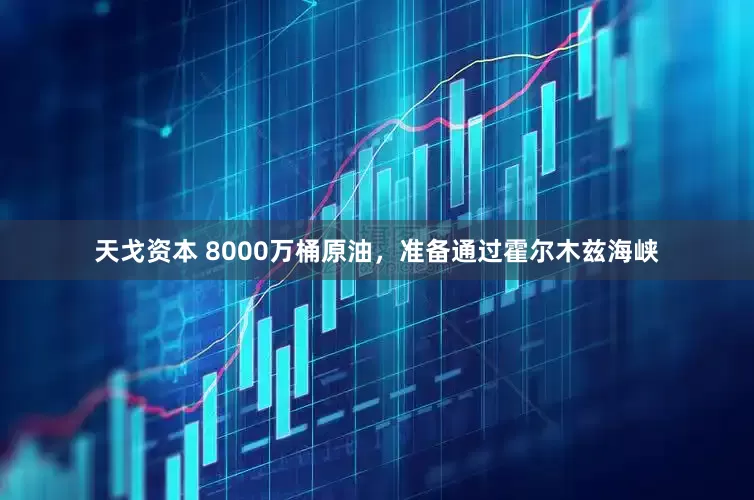 天戈资本 8000万桶原油，准备通过霍尔木兹海峡